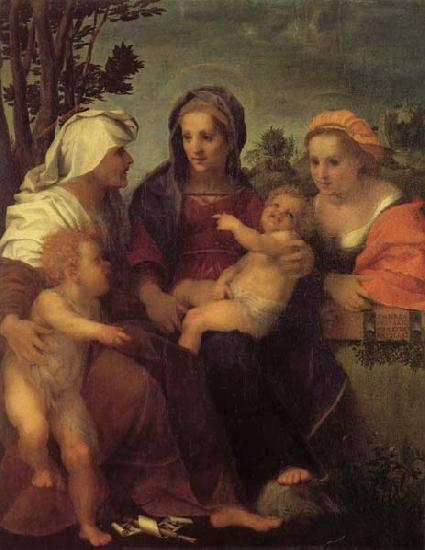 Andrea del Sarto Madonna and Child with St.Catherine Germany oil painting art